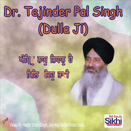 Amrit Naam Nidhaan Hai (Live) - Dr. Tejinder Pal Singh Dulla Ji