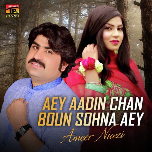 Aey Aadin Chan Boun Sohna Aey - Ameer Niazi