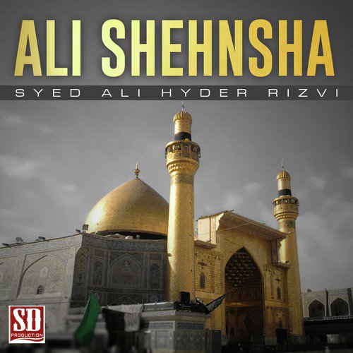 Baba Taree Sakena - Syed Ali Hyder Rizvi