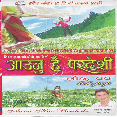 Aaunu Hai Pardesi - Various Artists