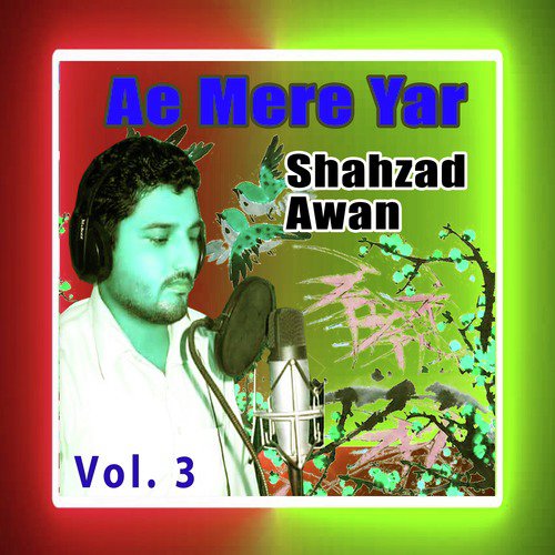 Sharat Sheeshay Di - Shahzad Awan