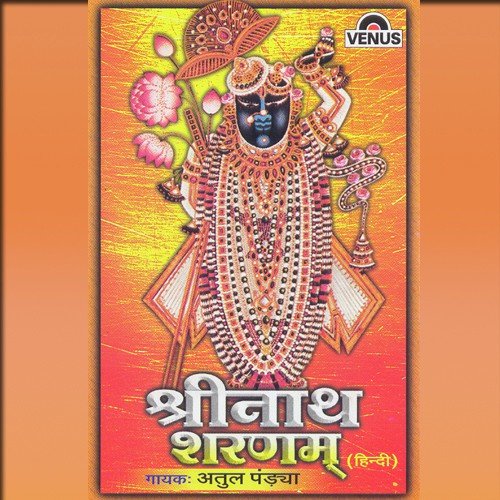 Jai Jai Jai Shrinath Ji - Chitra Roy