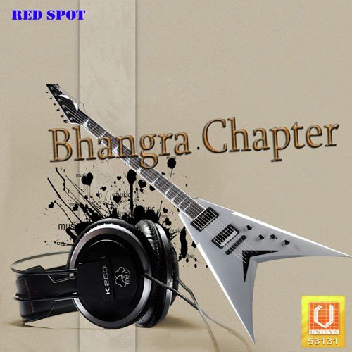 Sade Kol Paina Bhangra - Various Artists