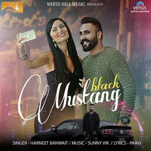 Black Mustang - Young Bunny