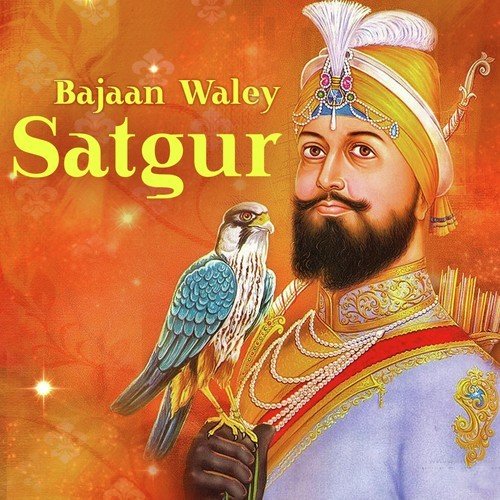 Apne Satguru Ke Balihari - Various Artists