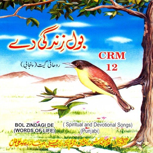 Mere Mann Wich Aa Wass Tu - Various Artists