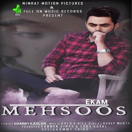 Mehsoos - Ronnie Singh