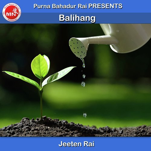 Bali Hang - Various Artists