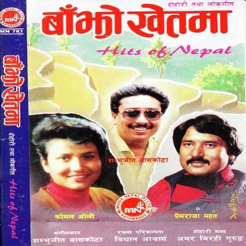 Damauliko Samjhana - Various Artists