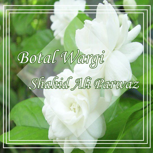 Asi Bholay Nai - Shahid Ali Parwaz