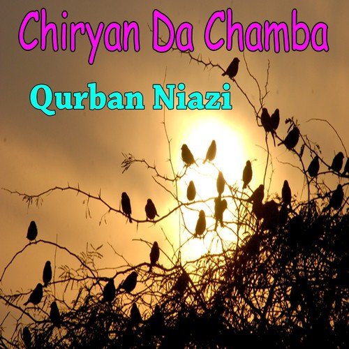 Tumba - Qurban Niazi
