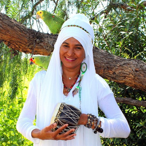 Healthy Happy Holy Samba (feat. Ryoji Inatsugi) - Jussara Shamanaad