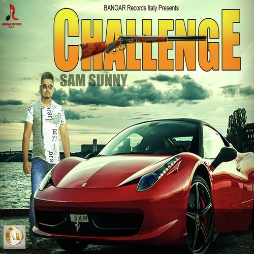 Challenge - Sam Sunny