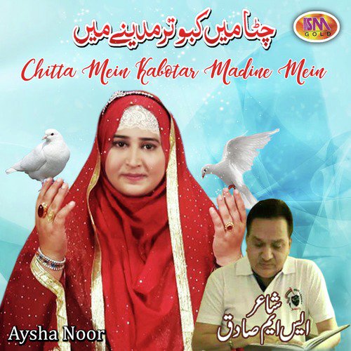 Tu Ik Wari Ghos Pak Peer Nu - Aysha Noor