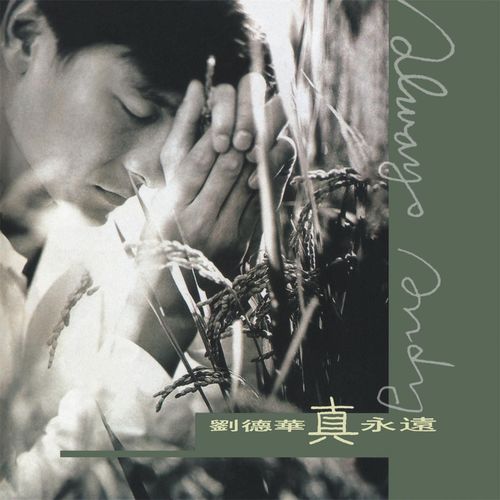 Zhen Yong Yuan - Andy Lau