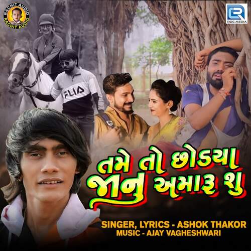 Tame To Chhodaya Janu Amaru Shu - Ashok Thakor