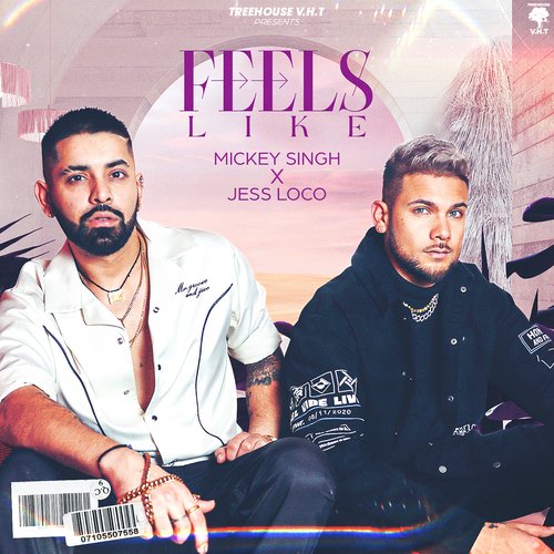 Feels Like - Mickey Singh, Jess Loco