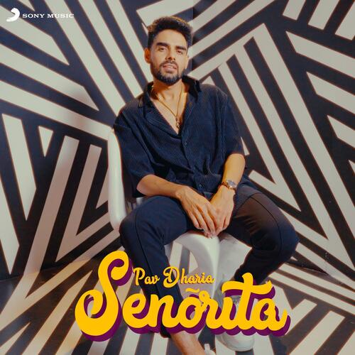 Senorita - Pav Dharia