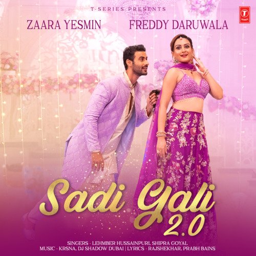 Sadi Gali 2.0 - Shipra Goyal, Lehmber Hussainpuri, DJ Shadow Dubai, Krsna
