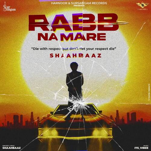 Rabb Na Mare - Vibee, Shaahbaaz