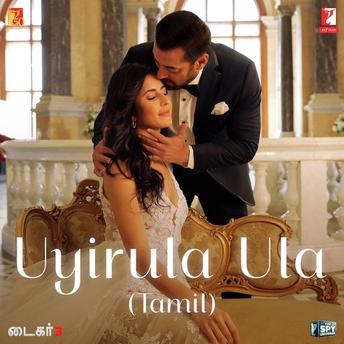 Uyirula Ula (From Tiger 3)   Tamil Version  - Pritam, Abhay Jodhpurkar, Madhan Karky