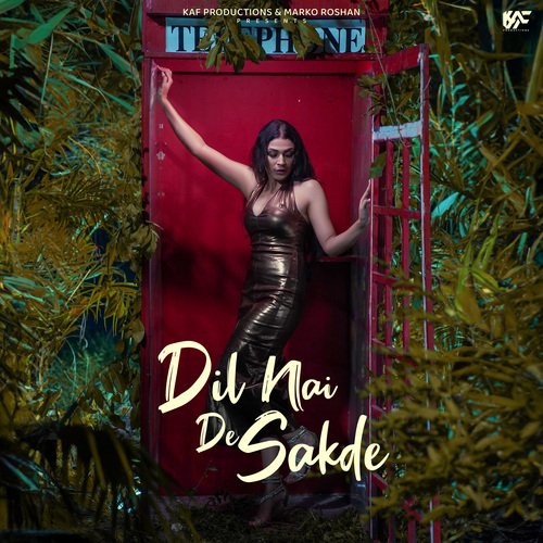 Dil Nai De Sakde - Nirmaan, Savina