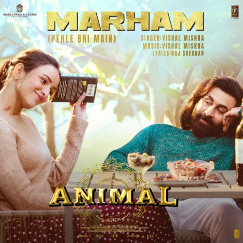 Marham (Pehle Bhi Main) From ANIMAL - Vishal Mishra, Raj Shekhar