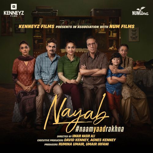 Shendi (From Nayab) - Various Artists