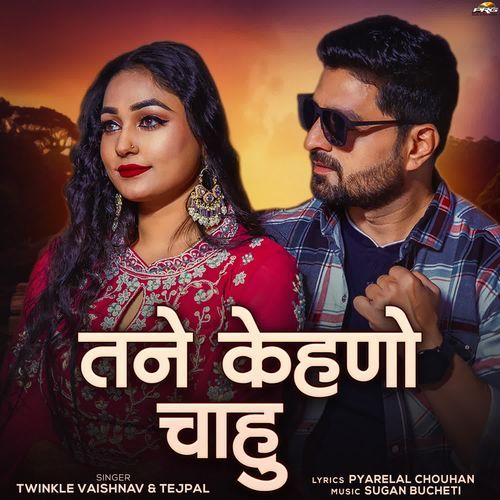 Tane Kehno Chahu - Twinkal Vaishnav, Tejpal