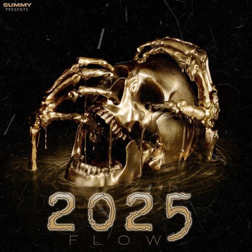 2025 Flow - Summy