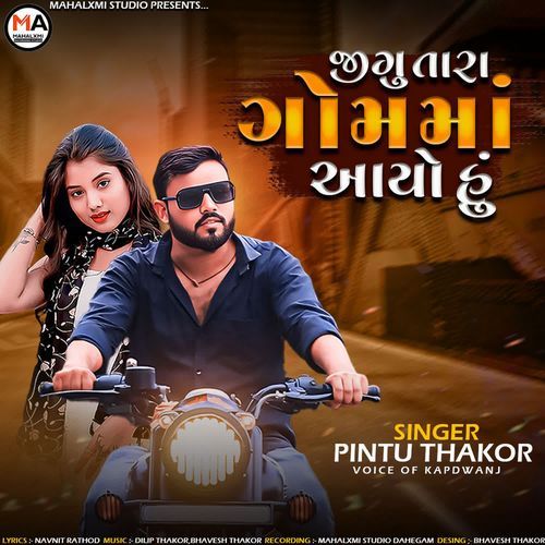 Jagu Tara Gom Ma Aayo Hu - Pintu Thakor