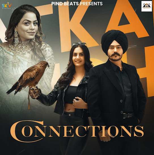 Connections - Satkar Sandhu