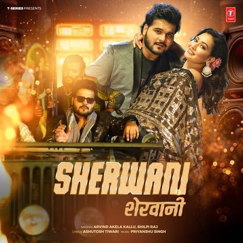 Sherwani - Arvind Akela Kallu
