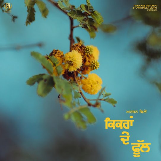 Kikran De Phull - Arjan Dhillon
