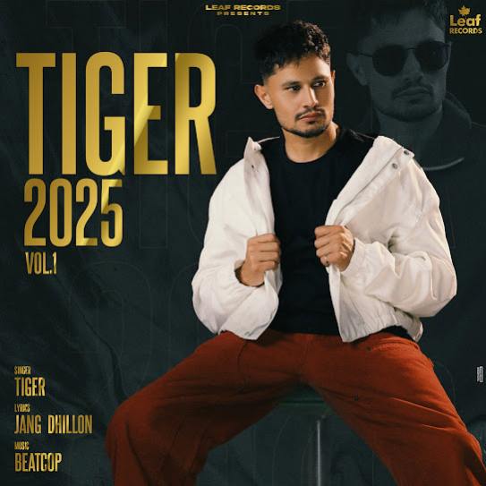 Aim - Tiger