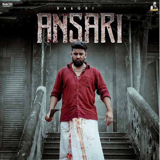 Ansari - Baaghi