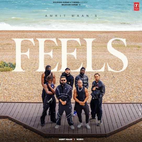 Feels - Amrit Maan
