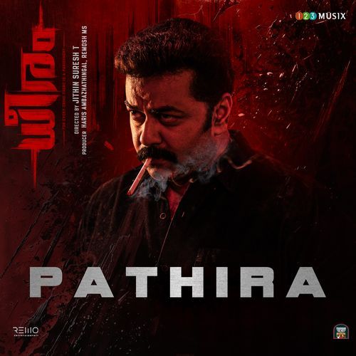 Pathira From Dheeram - The Imbachi