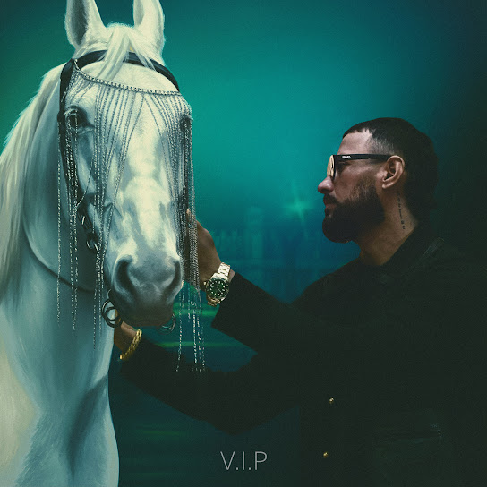 V.I.P - Garry Sandhu