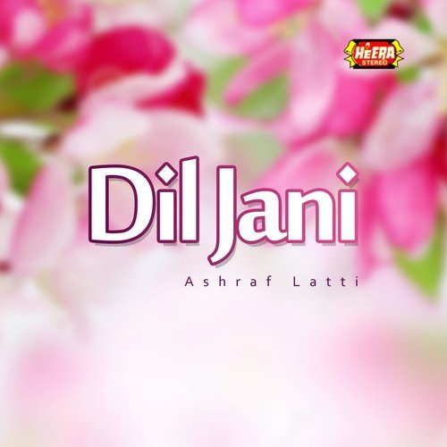 Dil Jani O Mere Dil Jani - Ashraf Latti