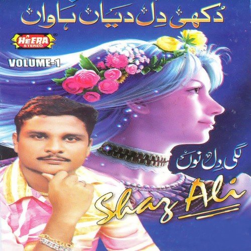 Tera Nah Le Le K - Shaz Ali