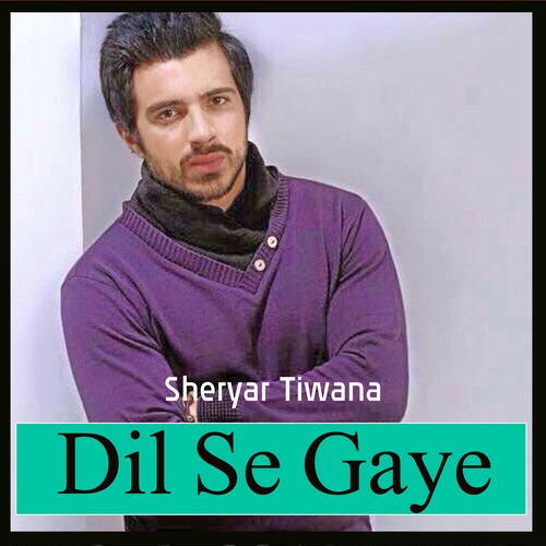 Dil Se Gaye - Sheryar Tiwana