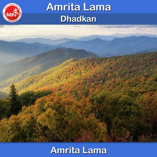 Dhadkan - Amrita Lama
