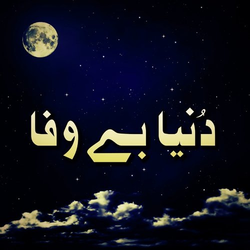 Multani Dhola - Various Artists