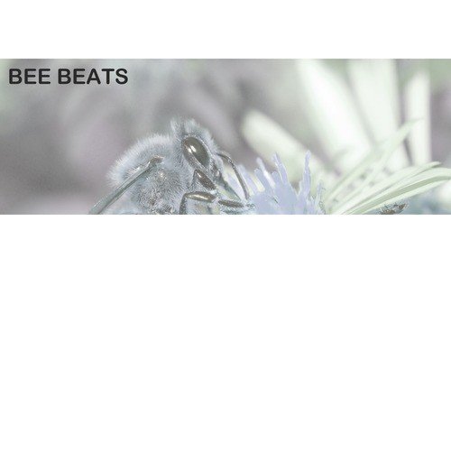 Bhangra Shava - Bee Beats