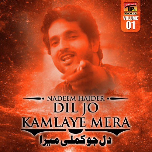 Dil Jo Kamlaye Mera - Nadeem Haider