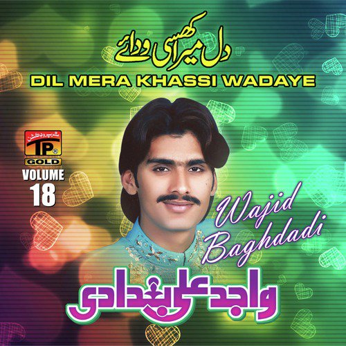 Dhola We Tere Piche Rule Wadde Hain - Wajid Ali Baghdadi