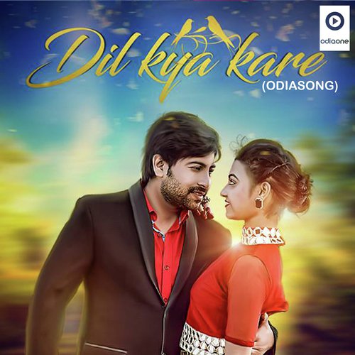 Dil Kya Kare - Abinash Dash