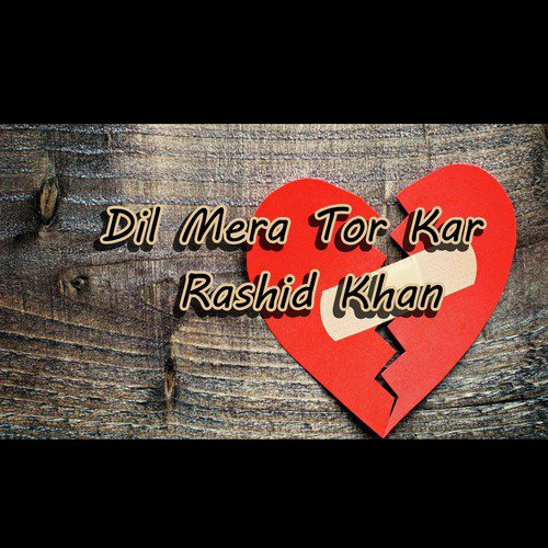 Zindagi Dey Din - Rashid Khan