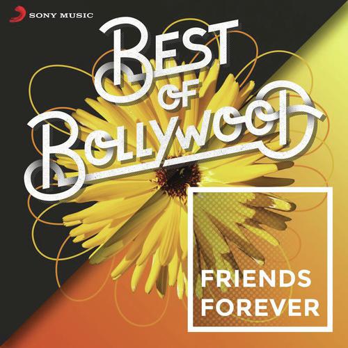 We Are Like This Only (From Gippi) - Various Artists